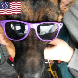 Meet your Posher, Mike